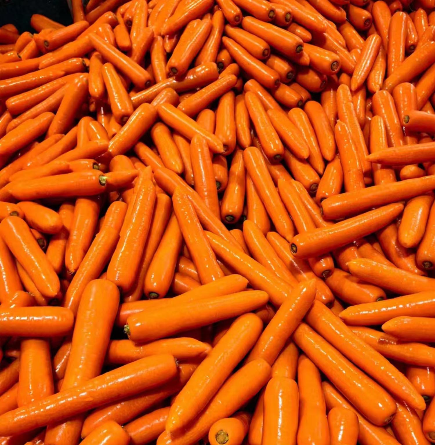 upload/20240812143526.jpg